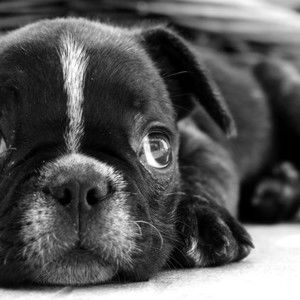 Meet your Posher, Jocelyn